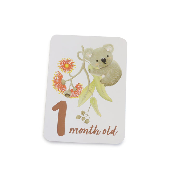 Aussie Animals Hello World Gift Set