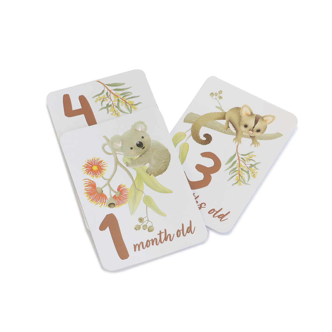 Aussie Animals Hello World Gift Set