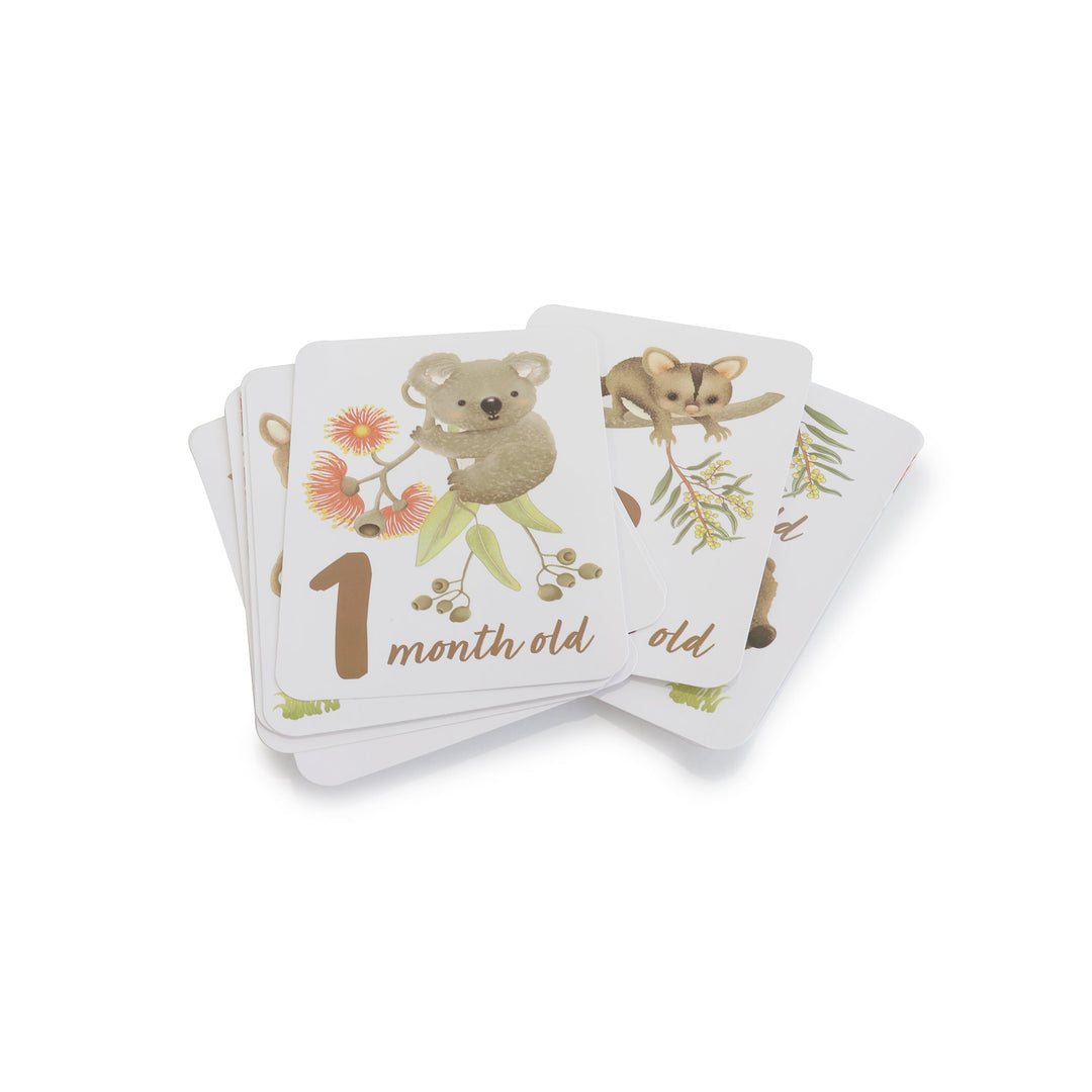 Aussie Animals Hello World Gift Set
