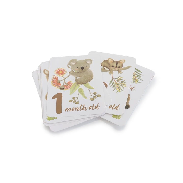 Aussie Animals Hello World Gift Set